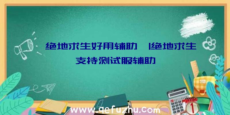 「绝地求生好用辅助」|绝地求生支持测试服辅助